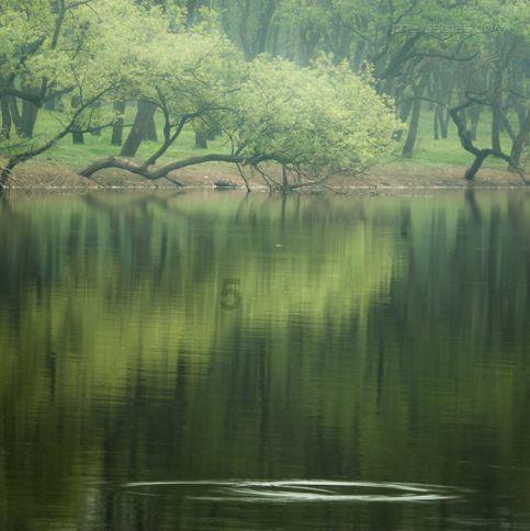 抖音点赞送花怎么送